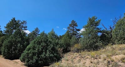 /international/us/73-alpine-way-cotopaxi-co-110094454438/