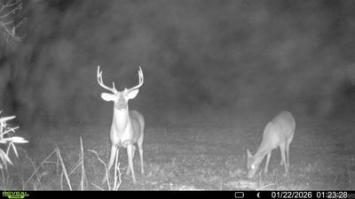 /international/us/00-cr-415-county-rd-415-widener-ar-110105842528/