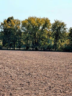 /international/us/31-mile-road-ray-twp-mi-110094849217/