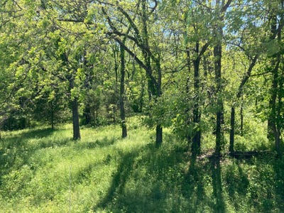 /international/us/burr-oak-road-carthage-mo-110107818627/