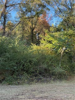 /international/us/highway-43-n-northport-al-110120417348/