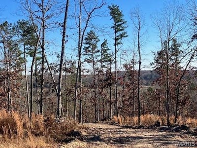 /international/us/52-madison-cr-410-fredericktown-mo-110090726717/