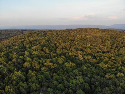 /international/us/bryner-rd-ohiopyle-pa-110110177619/