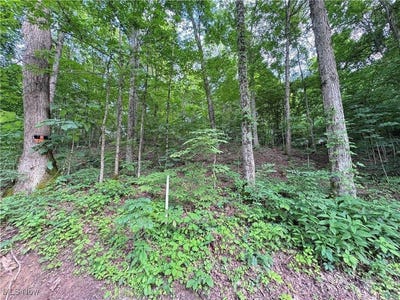 /international/us/50530-wargo-road-caldwell-oh-110100256038/?lang=zh-tw