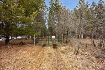 /international/us/32656-310th-street-little-elk-twp-mn-110106302940/