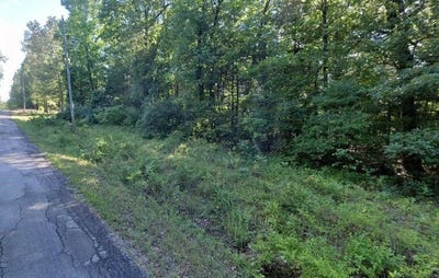 /international/us/lot-15-16-powhatan-dr-cherokee-village-ar-110101180708/?lang=zh-cn