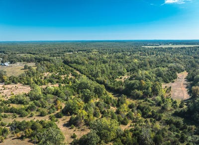 /international/us/clementine-outer-road-lot-4-newburg-mo-110107998249/