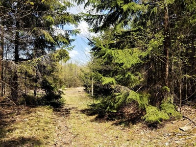 /international/us/saxon-rd-lot-2-off-montreal-wi-110076868158/