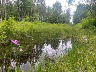 /international/us/old-54-highway-pittsville-wi-110108957611/