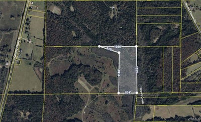 /international/us/0001-county-road-1-uniontown-al-110105345093/