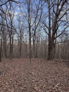 /international/us/county-road-470-rector-ar-110105756239/