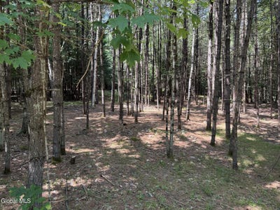 /international/us/45-hidden-valley-road-lake-luzerne-ny-110119770344/