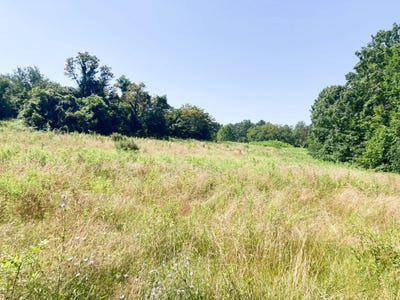 /international/us/setty-rd-albany-oh-110100894009/