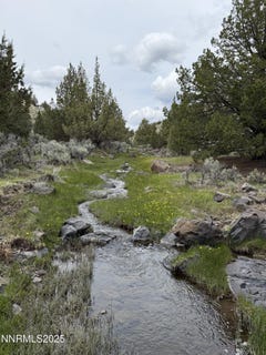 /international/us/wall-canyon-reservoir-road-gerlach-nv-110101364873/