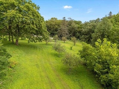 /international/us/8-acres-ivory-road-glenwood-ia-110106982449/