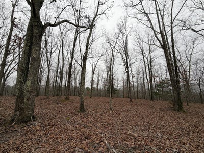 /international/us/0-highway-50-east-lot-1-centerville-tn-110104846089/