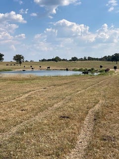 /international/us/farm-to-market-road-1361-somerville-tx-110102761291/