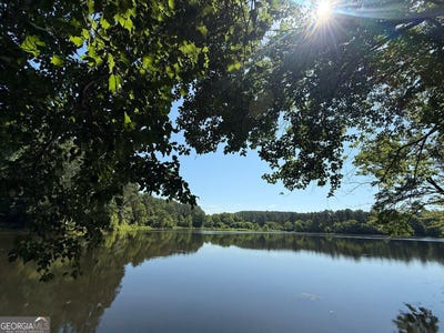 /international/us/141-cove-lake-drive-marble-hill-ga-110109300334/