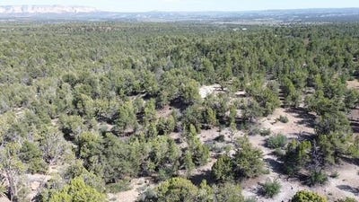 /international/us/mile-51-highway-9-e-zion-40-acres-orderville-ut-110108339607/