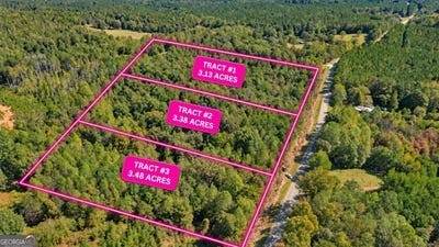 /international/us/tract-2-lees-bridge-rd-delta-al-110120455403/