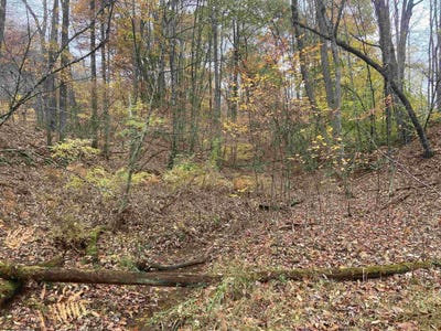 /international/us/us-route-48-rr-elkins-wv-110103206320/