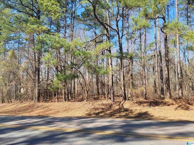 /international/us/lot-40-stillwaters-drive-dadeville-al-110097707853/