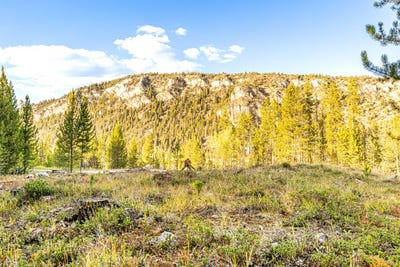 /international/us/harris-road-lot-6-tbd-anaconda-mt-110099985713/