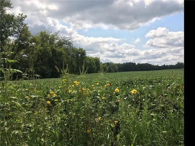 /international/us/1405-hamel-road-medina-mn-110105630058/