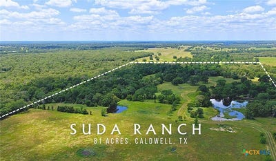 /international/us/5380-county-road-132-81-02-acres-caldwell-tx-110108192274/