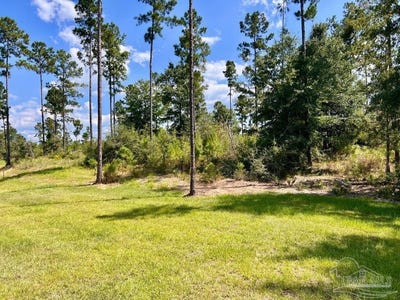 /international/us/morgans-branch-lot-33-molino-fl-110102658893/