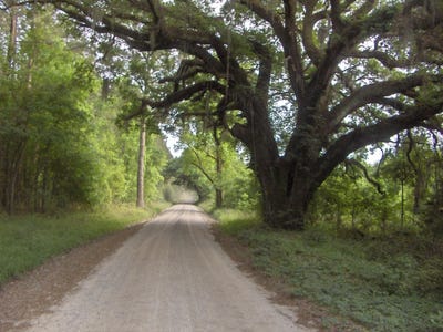 /international/us/0000-jasper-station-road-ridgeland-sc-110098305146/