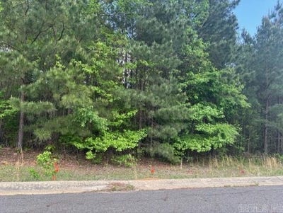 /international/us/s-oak-valley-lot-12-el-dorado-ar-110107280535/