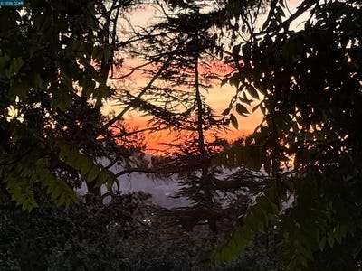 /international/us/205-summit-rd-walnut-creek-ca-110108207177/