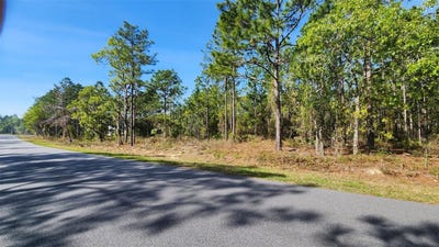 /international/us/tbd-cr-243b-wildwood-fl-110100941641/