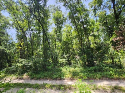 /international/us/3200-ne-167-street-citra-fl-110100923176/