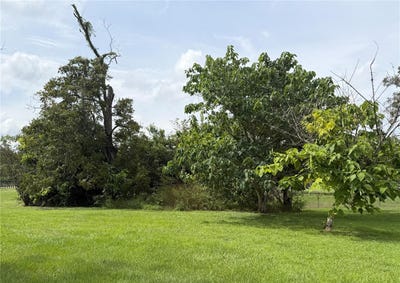 /international/us/1404-nw-20th-court-ocala-fl-110120486889/