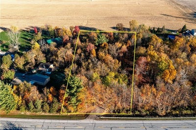 /international/us/v-l-state-route-18-wellington-oh-110103239265/
