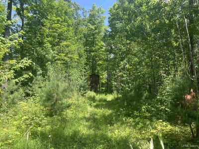 /international/us/tbd-40-acres-wilderness-crystal-falls-mi-110100582517/