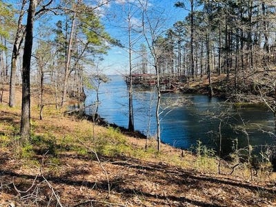 /international/us/416-mason-creek-rd-milam-tx-110105936863/