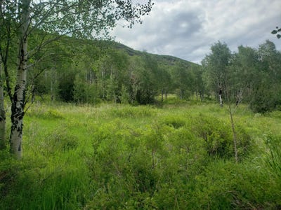 /international/us/tbd-co-rd-179-oak-creek-co-110100817821/?lang=zh-cn