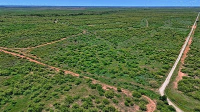 /international/us/tbd-fm-1919-crowell-tx-110101074541/