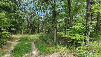 /international/us/24303-valley-view-lane-barnett-mo-110101041691/?lang=en