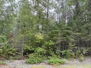 /international/us/e-grand-lake-rd-lot-35-37-presque-isle-mi-110102428362/
