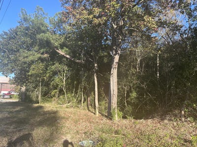 /international/us/220-n-highway-52-moncks-corner-sc-110088265291/