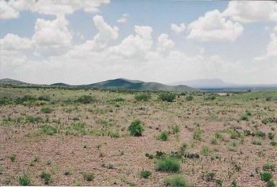 /international/us/willow-springs-ranch-lot-35-san-antonio-nm-110102714396/