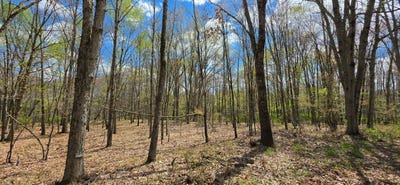 /international/us/lot-17-14-skipperene-road-cochecton-ny-110107779274/