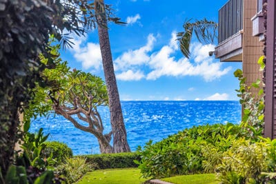 /international/us/2994-s-kihei-rd-kihei-hi-110110271467/