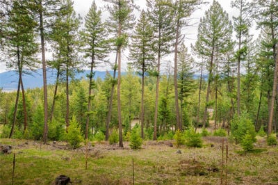 /international/us/tobacco-valley-view-road-lot-7-eureka-mt-110107309596/