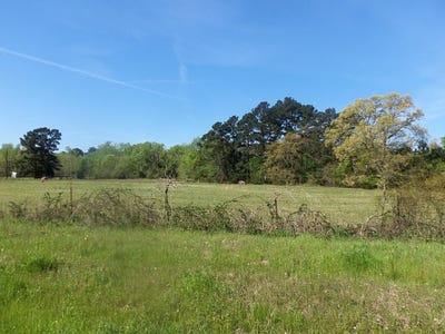 /international/us/tbd-u-s-hwy-259-n-kilgore-tx-110040410649/