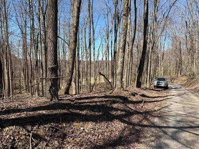 /international/us/mt-hebron-road-volga-wv-110104441903/